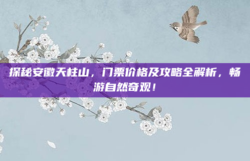 探秘安徽天柱山，门票价格及攻略全解析，畅游自然奇观！