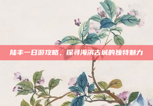 陆丰一日游攻略，探寻海滨古城的独特魅力