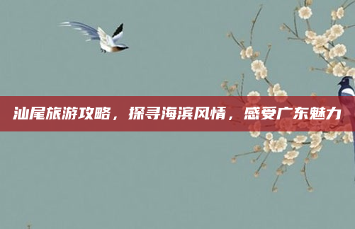 汕尾旅游攻略,探寻海滨风情,感受广东魅力