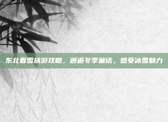 东北看雪旅游攻略，邂逅冬季童话，感受冰雪魅力