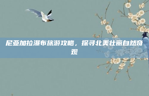 尼亚加拉瀑布旅游攻略,探寻北美壮丽自然奇观