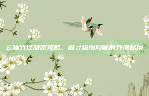 云栖竹径旅游攻略,探寻杭州隐秘的竹海秘境