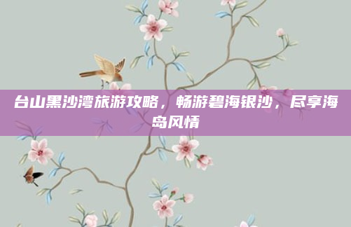 台山黑沙湾旅游攻略,畅游碧海银沙,尽享海岛风情