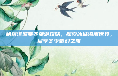 哈尔滨波塞冬旅游攻略，探索冰城海底世界，尽享冬季奇幻之旅