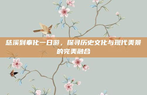 慈溪到奉化一日游，探寻历史文化与现代美景的完美融合