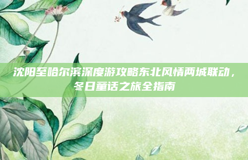 沈阳至哈尔滨深度游攻略东北风情两城联动，冬日童话之旅全指南