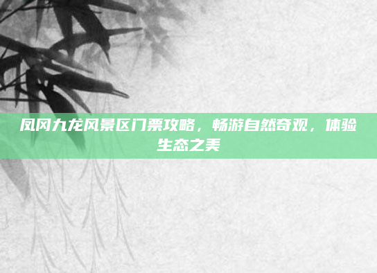 凤冈九龙风景区门票攻略,畅游自然奇观,体验生态之美