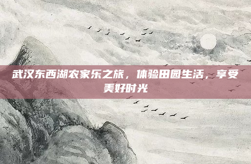 武汉东西湖农家乐之旅,体验田园生活,享受美好时光