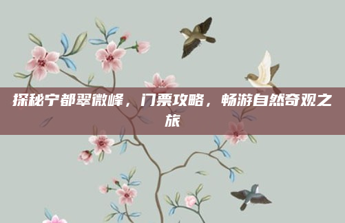探秘宁都翠微峰,门票攻略,畅游自然奇观之旅