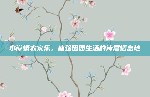 水滋情农家乐，体验田园生活的诗意栖息地