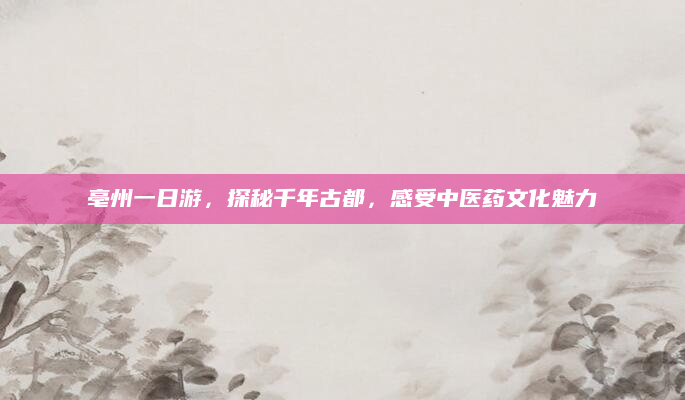 亳州一日游,探秘千年古都,感受中医药文化魅力