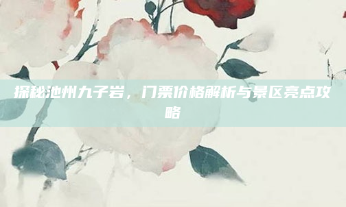 探秘池州九子岩,门票价格解析与景区亮点攻略