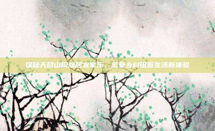 探秘天目山陶然居农家乐,感受乡村田园生活新体验