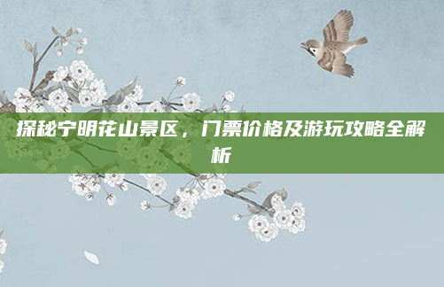 探秘宁明花山景区，门票价格及游玩攻略全解析