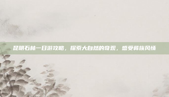 昆明石林一日游攻略,探索大自然的奇观,感受彝族风情