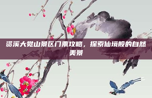 资溪大觉山景区门票攻略，探索仙境般的自然美景