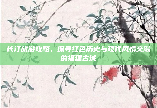 长汀旅游攻略,探寻红色历史与现代风情交融的福建古城