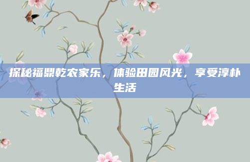 探秘福鼎乾农家乐，体验田园风光，享受淳朴生活