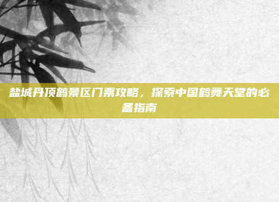 盐城丹顶鹤景区门票攻略,探索中国鹤舞天堂的必备指南