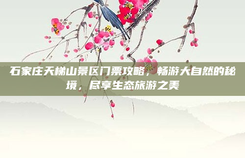 石家庄天梯山景区门票攻略，畅游大自然的秘境，尽享生态旅游之美