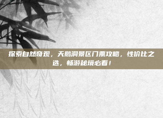 探索自然奇观,天鹅洞景区门票攻略,性价比之选,畅游秘境必看!