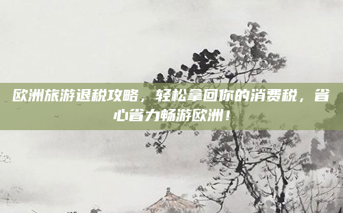 欧洲旅游退税攻略,轻松拿回你的消费税,省心省力畅游欧洲!