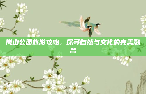 岚山公园旅游攻略,探寻自然与文化的完美融合