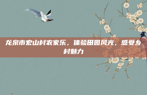 龙泉市宏山村农家乐,体验田园风光,感受乡村魅力