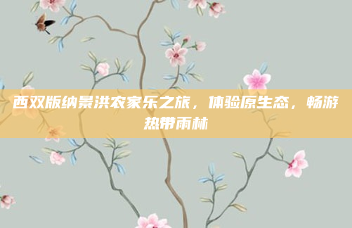 西双版纳景洪农家乐之旅,体验原生态,畅游热带雨林