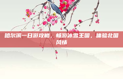哈尔滨一日游攻略,畅游冰雪王国,体验北国风情