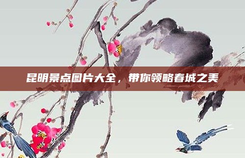 昆明景点图片大全,带你领略春城之美