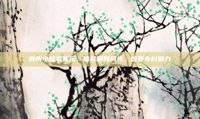 惠州小桂农家乐,体验田园风光,感受乡村魅力