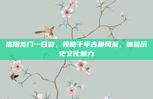 洛阳龙门一日游，领略千年古都风采，体验历史文化魅力