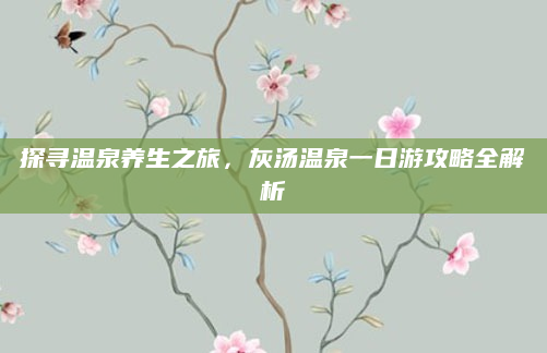 探寻温泉养生之旅,灰汤温泉一日游攻略全解析
