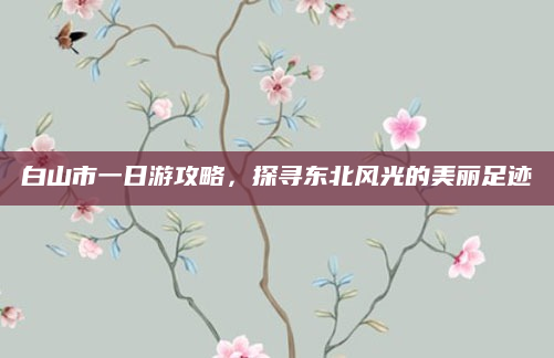 白山市一日游攻略，探寻东北风光的美丽足迹