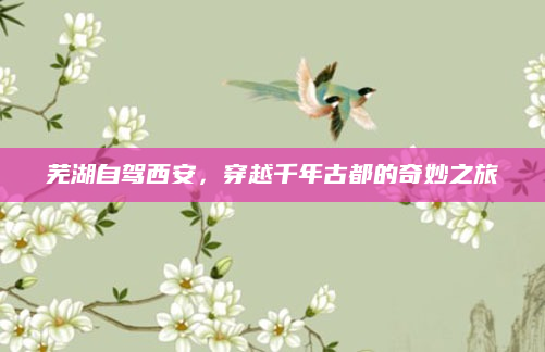芜湖自驾西安，穿越千年古都的奇妙之旅
