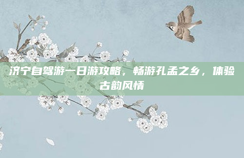 济宁自驾游一日游攻略，畅游孔孟之乡，体验古韵风情