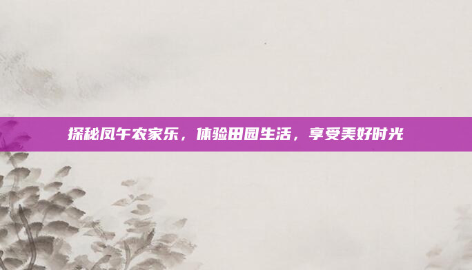 探秘凤午农家乐,体验田园生活,享受美好时光