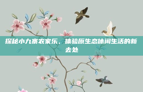探秘小九寨农家乐,体验原生态休闲生活的新去处