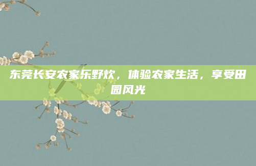 东莞长安农家乐野炊,体验农家生活,享受田园风光