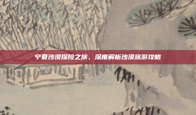 宁夏沙漠探险之旅，深度解析沙漠旅游攻略