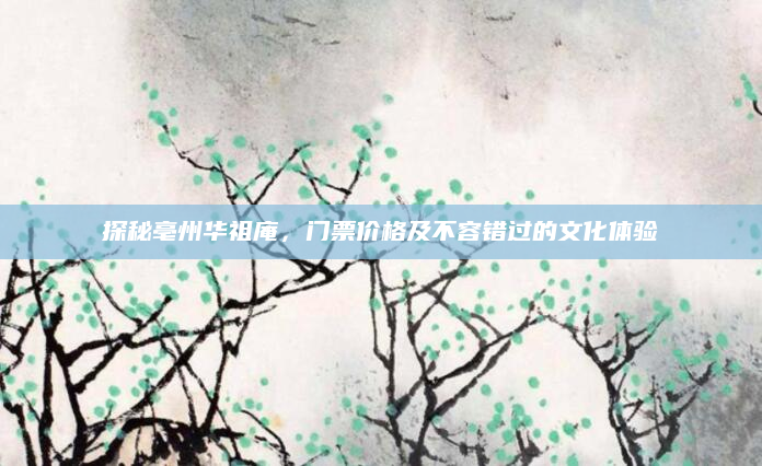 探秘亳州华祖庵，门票价格及不容错过的文化体验