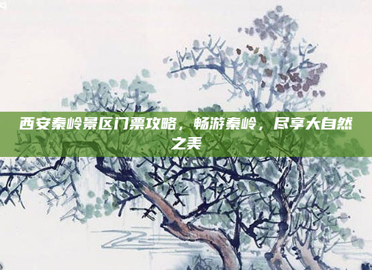 西安秦岭景区门票攻略,畅游秦岭,尽享大自然之美