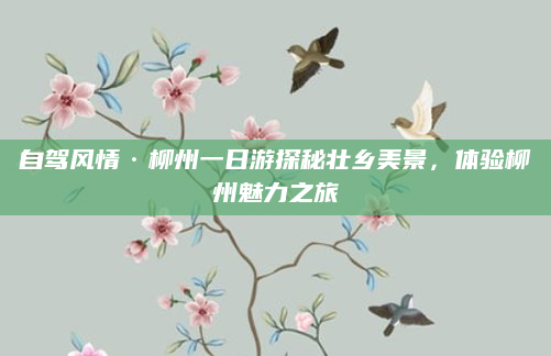 自驾风情·柳州一日游探秘壮乡美景,体验柳州魅力之旅