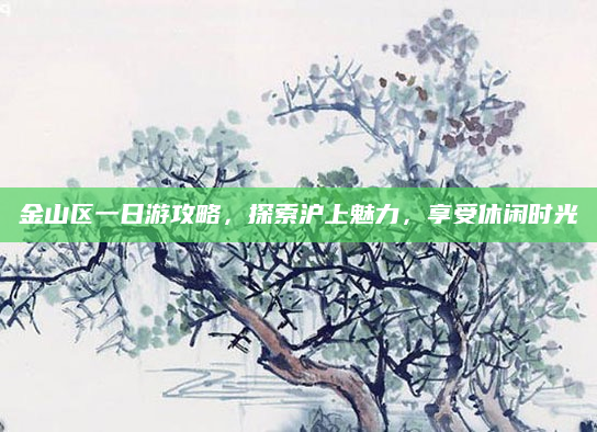 金山区一日游攻略,探索沪上魅力,享受休闲时光