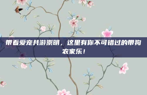 带着爱宠共游崇明,这里有你不可错过的带狗农家乐!