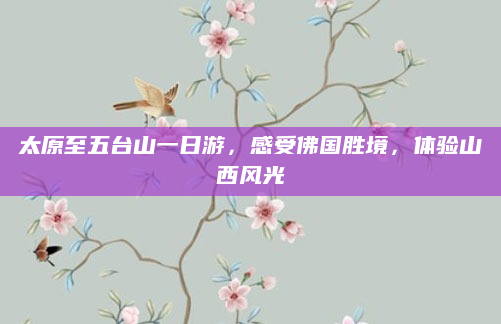 太原至五台山一日游,感受佛国胜境,体验山西风光