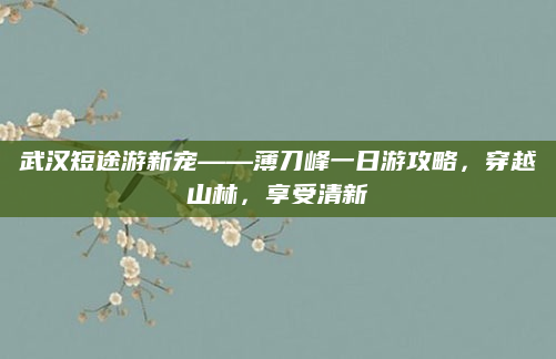 武汉短途游新宠——薄刀峰一日游攻略,穿越山林,享受清新