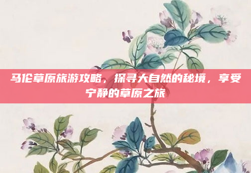 马伦草原旅游攻略,探寻大自然的秘境,享受宁静的草原之旅