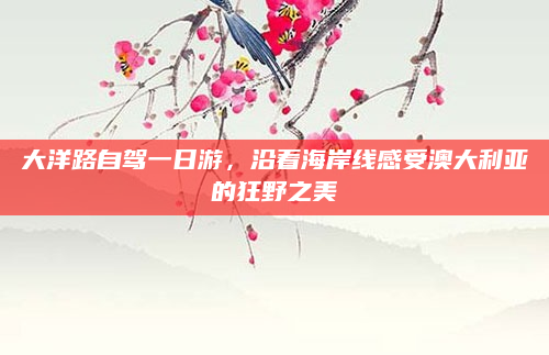 大洋路自驾一日游,沿着海岸线感受澳大利亚的狂野之美